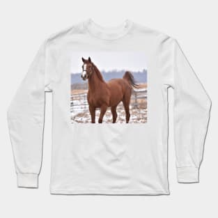 Verrazano filly Long Sleeve T-Shirt